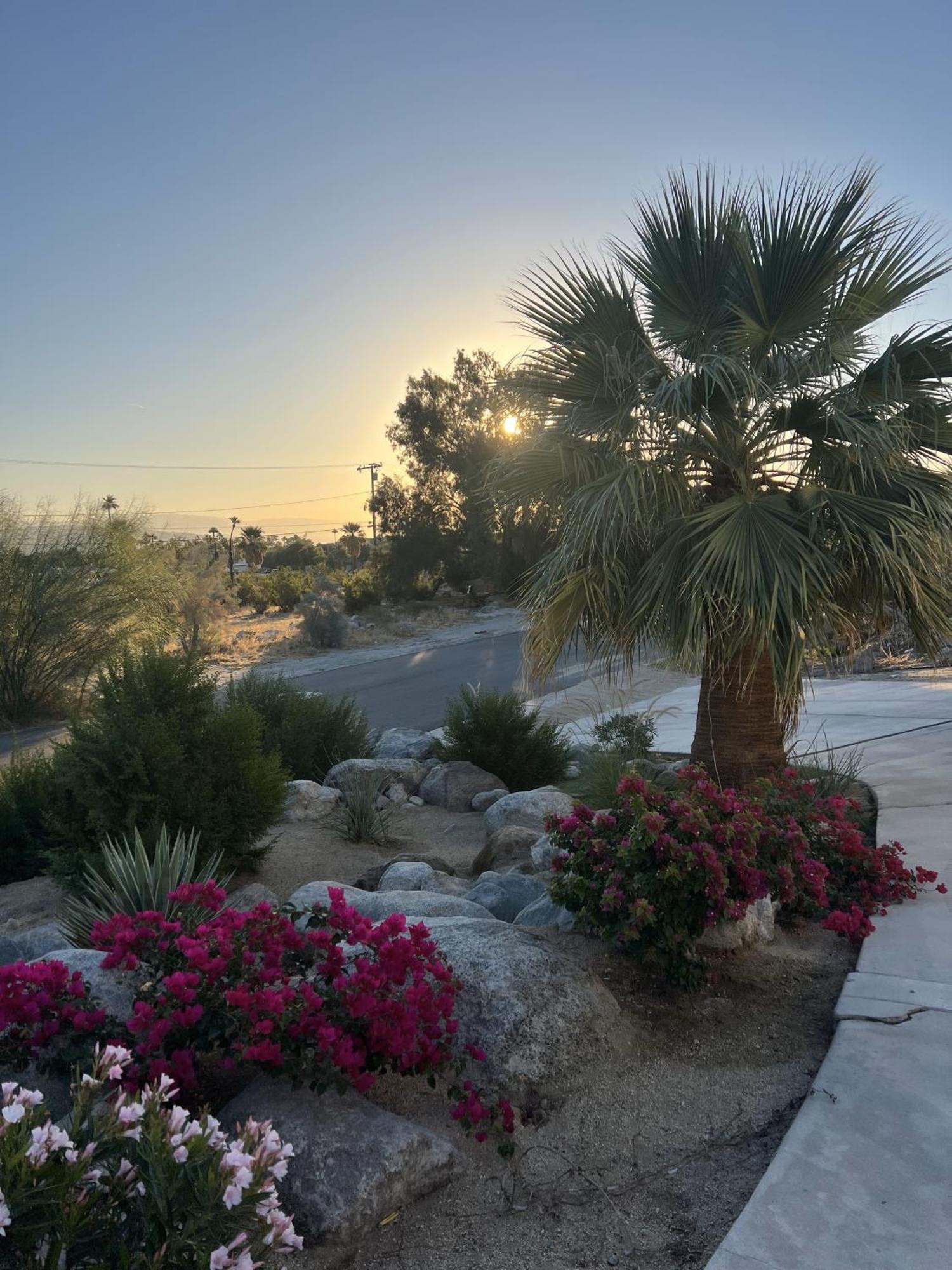 The Pink Paloma - A Barbie Inspired Villa In Palm Springs Exterior photo